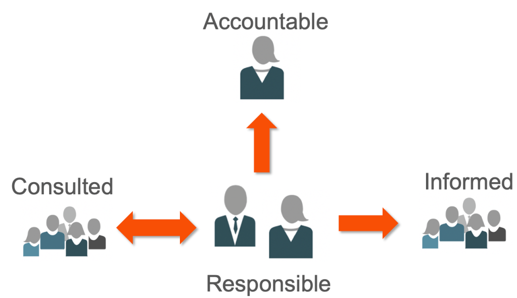 Figure 1 the flow of information between the roles